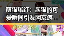 萌猫爆红：酱猫的可爱瞬间引发网友疯狂刷屏 🐱✨