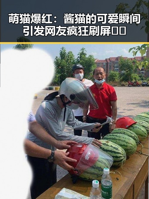 萌猫爆红：酱猫的可爱瞬间引发网友疯狂刷屏 🐱✨