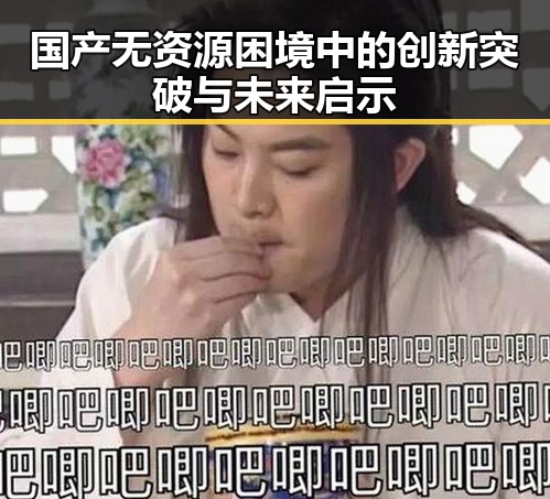 国产无资源困境中的创新突破与未来启示