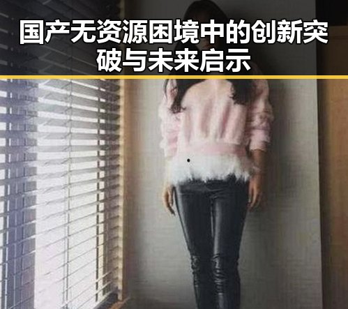 国产无资源困境中的创新突破与未来启示